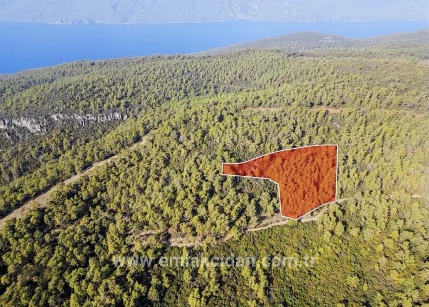 Marmaris Çetibelinde Wald Innerhalb 13.500 m2 Privat Nutzungsbereich