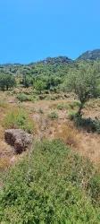 Feld Zu verkaufen in Selimiye Bz. Marmaris - Feld-Zonierung - 773 m²