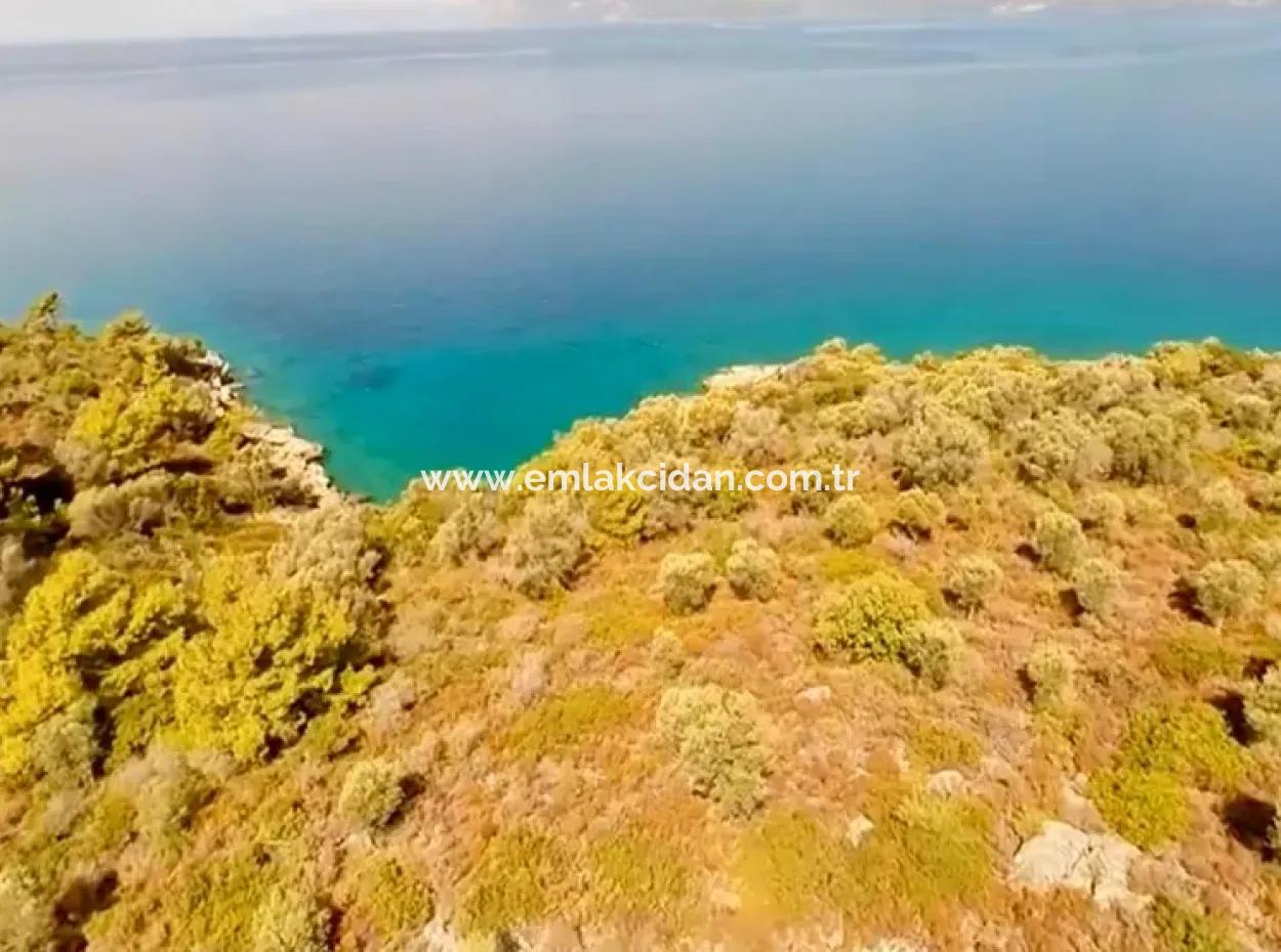 Die Zum Verkauf Stehende Insel Im Golf Von Gökova Im Bezirk Marmaris Hat Eine Grundstücksfläche Von 365000M2 Und Es Befindet Sich Ein Eingetragenes Haus Darin.