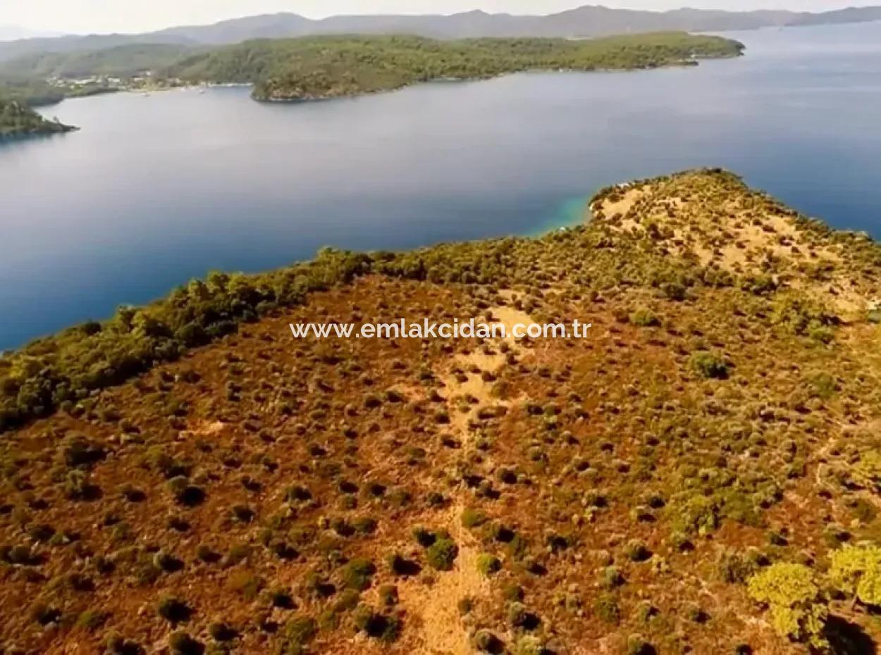 Die Zum Verkauf Stehende Insel Im Golf Von Gökova Im Bezirk Marmaris Hat Eine Grundstücksfläche Von 365000M2 Und Es Befindet Sich Ein Eingetragenes Haus Darin.