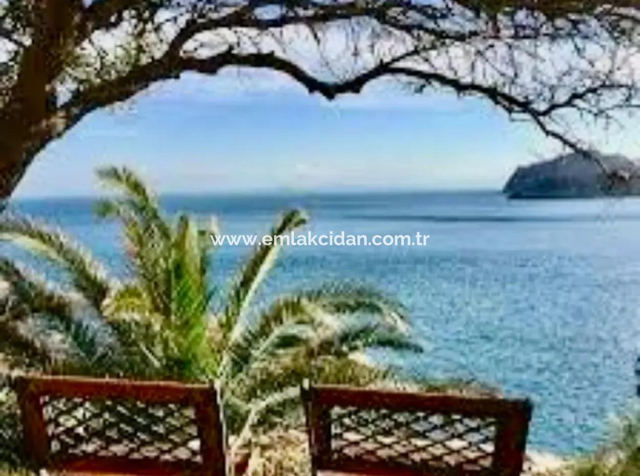 81000M2 Insel Zum Verkauf In Marmaris Region 31000M2 Eigentumsurkunde Offizieller Strom Wasser Verfügbar Herrenhaus Mit Legalem Haus Darin