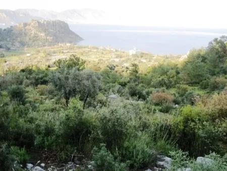 15000M2 Grundstück Zum Verkauf Mit Meerblick In Kumlubük Bay, Marmaris