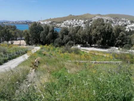 Grundstück Zu Verkaufen Mit 4000M2 Touristischen Entwicklung Am Meer In Bodrum Akyarlar