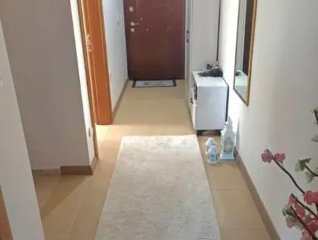 Camiavlu Neighborhood 3 1 Garten-Doppelhaus Mit Pool Zum Verkauf