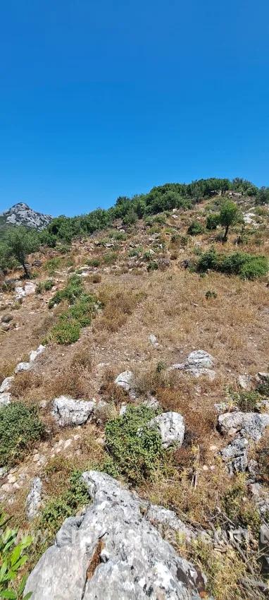 Marmaris Selimiye village has an Investment suitable 773 m2 for sale land