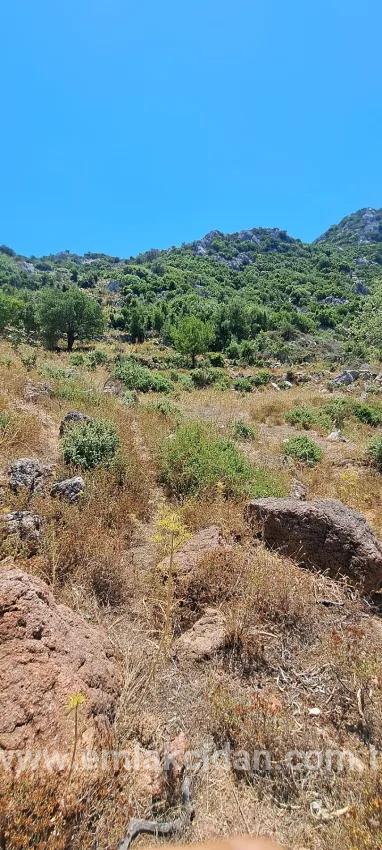 Marmaris Selimiye village has an Investment suitable 773 m2 for sale land