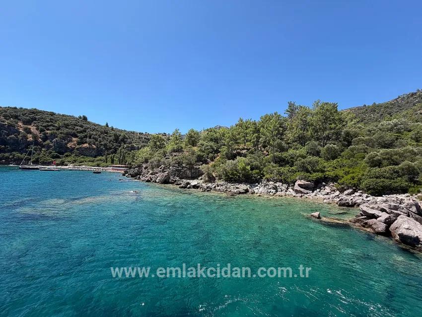Marmaris Turunç cove with sea zero 4700 m2 controlled usage area