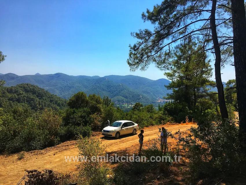 In Marmaris Çetibelinde within the forest 13,500 m2 Private usage area