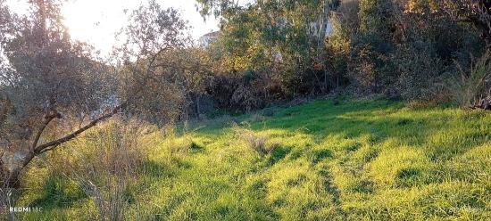 1186 M2 Plot Of Land For Sale In Akyaka, 8 Km Away, With A Planned 15-room Villa Project.