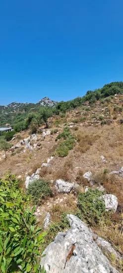 Marmaris Selimiye village has an Investment suitable 773 m2 for sale land