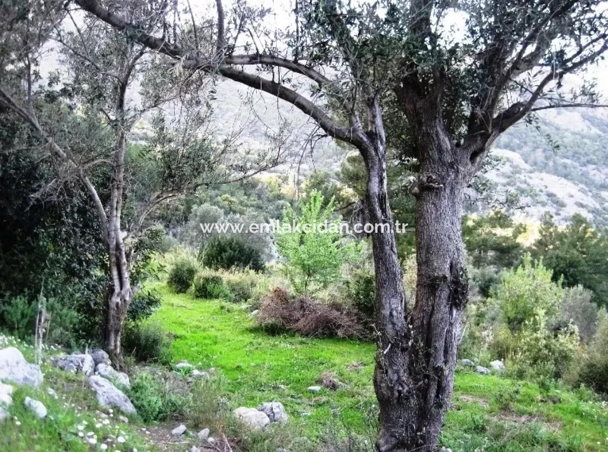 15000M2 Land For Sale With Sea Views At Kumlubük Bay, Marmaris