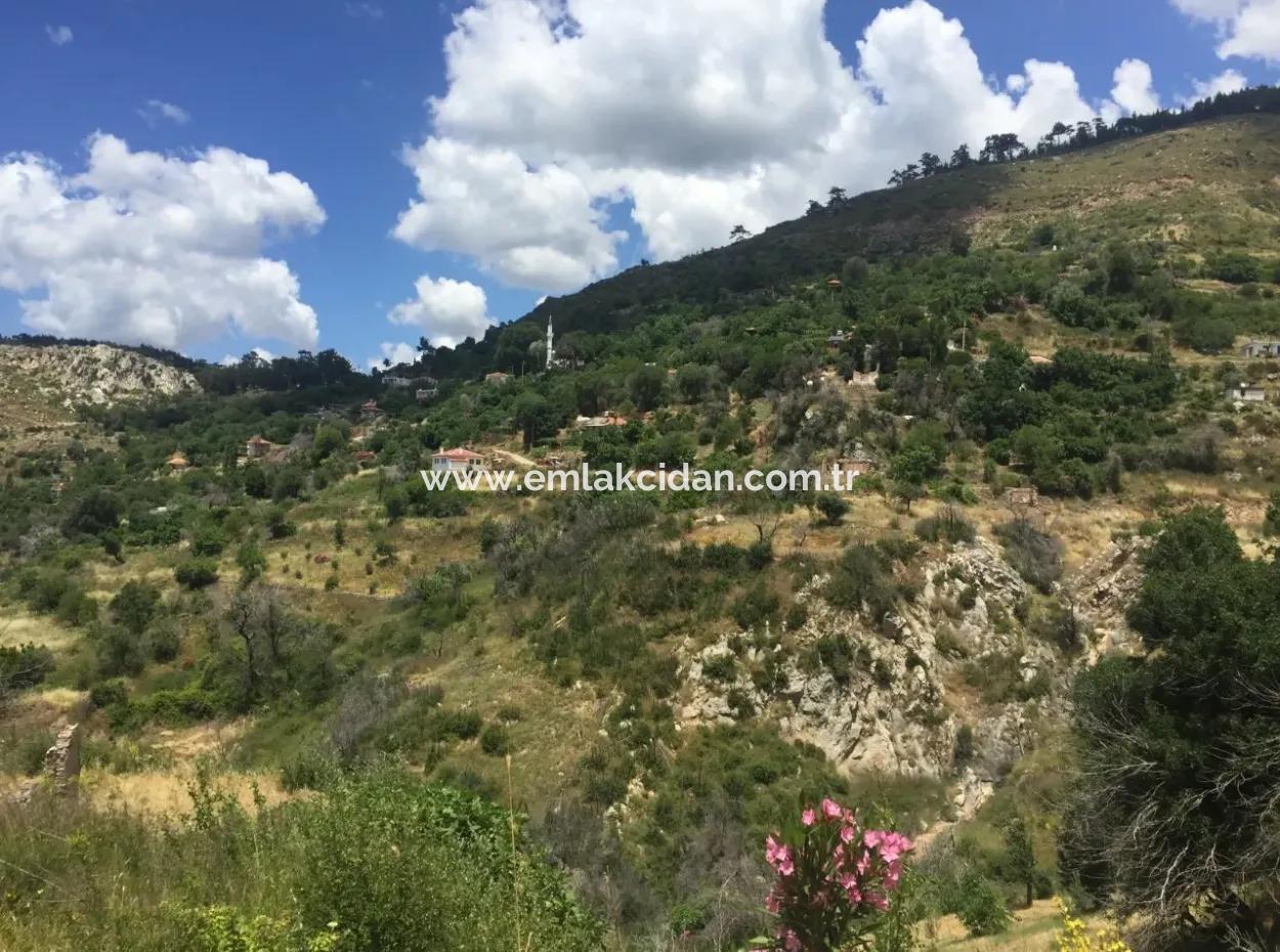 Akbuk, Mugla Province, County And Neighborhood Of The House In A Plot Of 3500 M2 In Zeytinkoy 2 Current Land Plot For Sale
