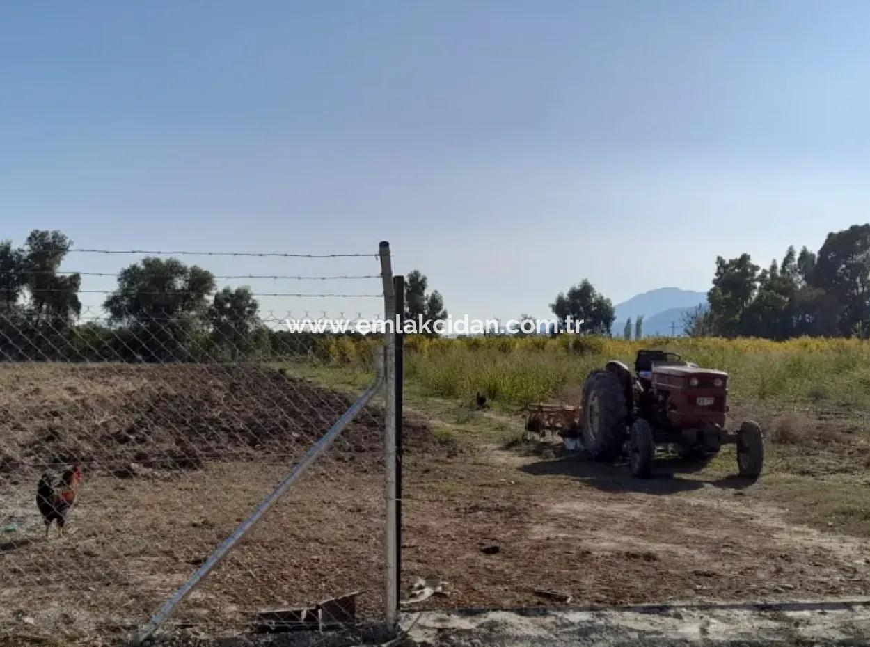 32000M2 Arable Avocados, Greenhouse Construction, Farms, Suitable For Livestock Land In Köyceğinz Döğüşbelen