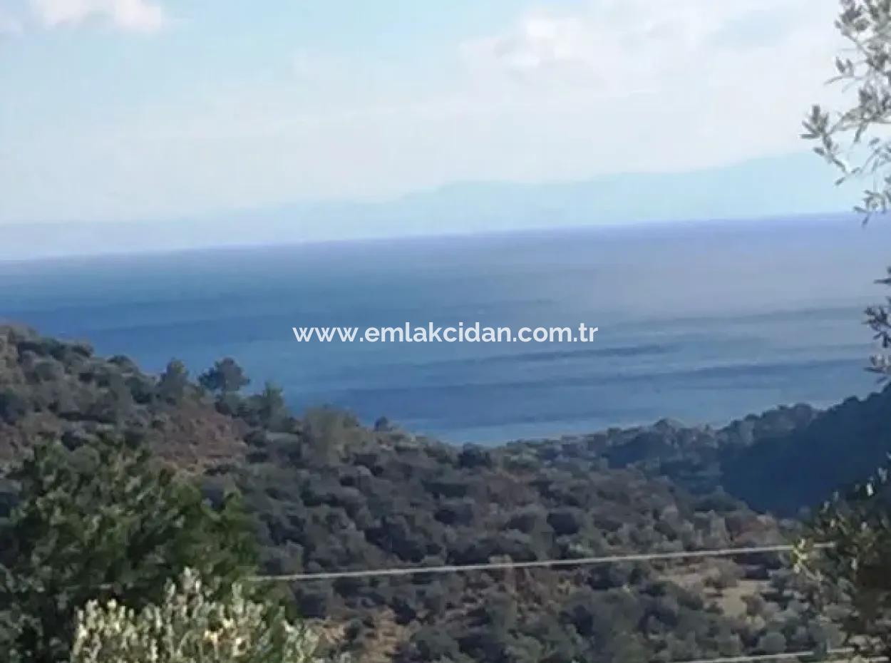 Land For Sale With Sea View With 52000M2 Parcel In Mugla Province Datca District Masoudye Neighborhood