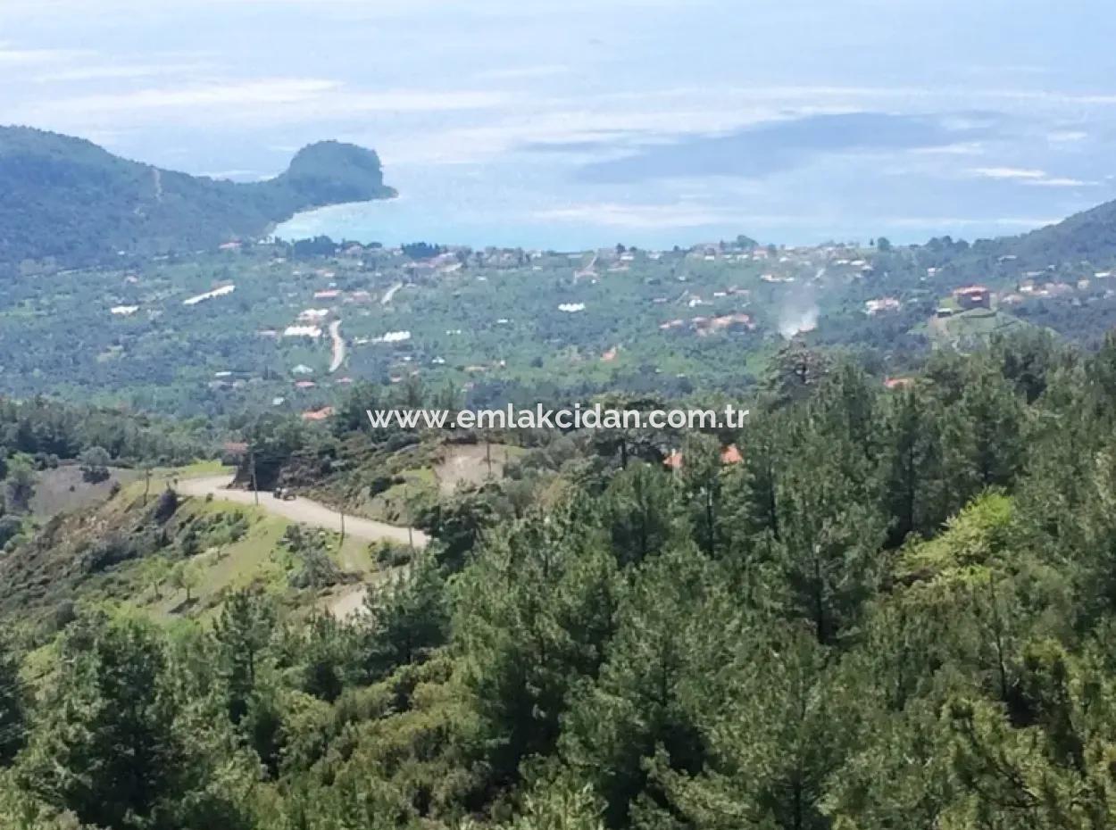 Land For Sale With Sea View With 52000M2 Parcel In Mugla Province Datca District Masoudye Neighborhood