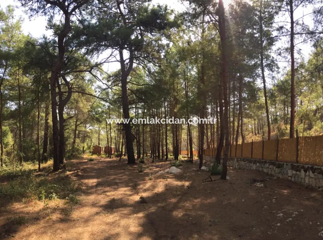 Land For Sale Suitable For Bungalow Hotel In 7500M2 Plot In Bördübet Bay