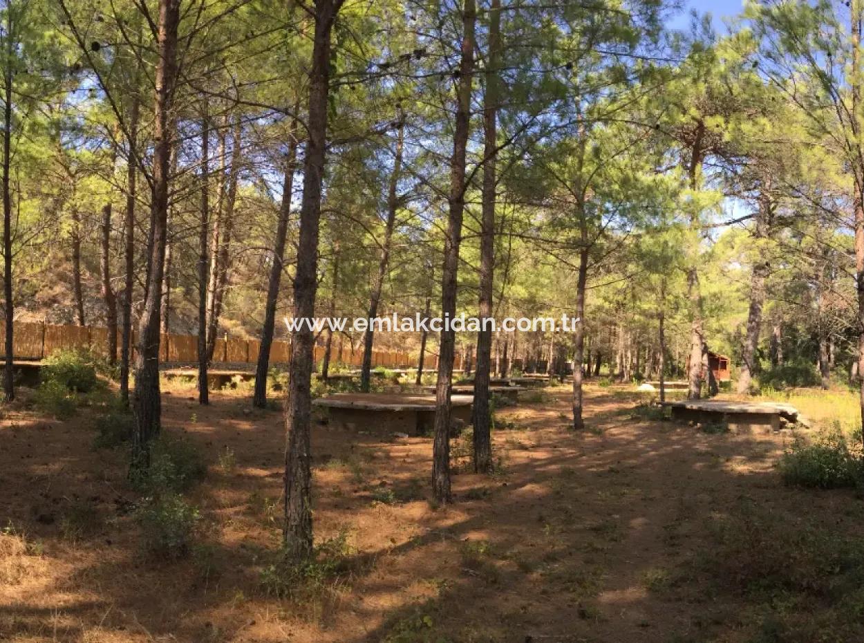 Land For Sale Suitable For Bungalow Hotel In 7500M2 Plot In Bördübet Bay