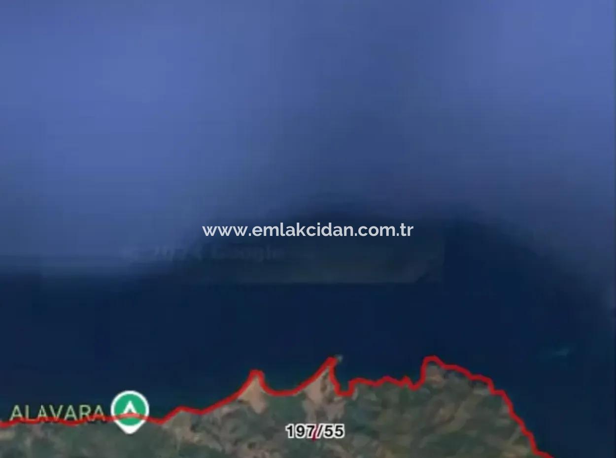 Land For Sale In Avlana Neighborhood Of Datca District Close To The Sea Of 5200M2 Suitable For Investment
