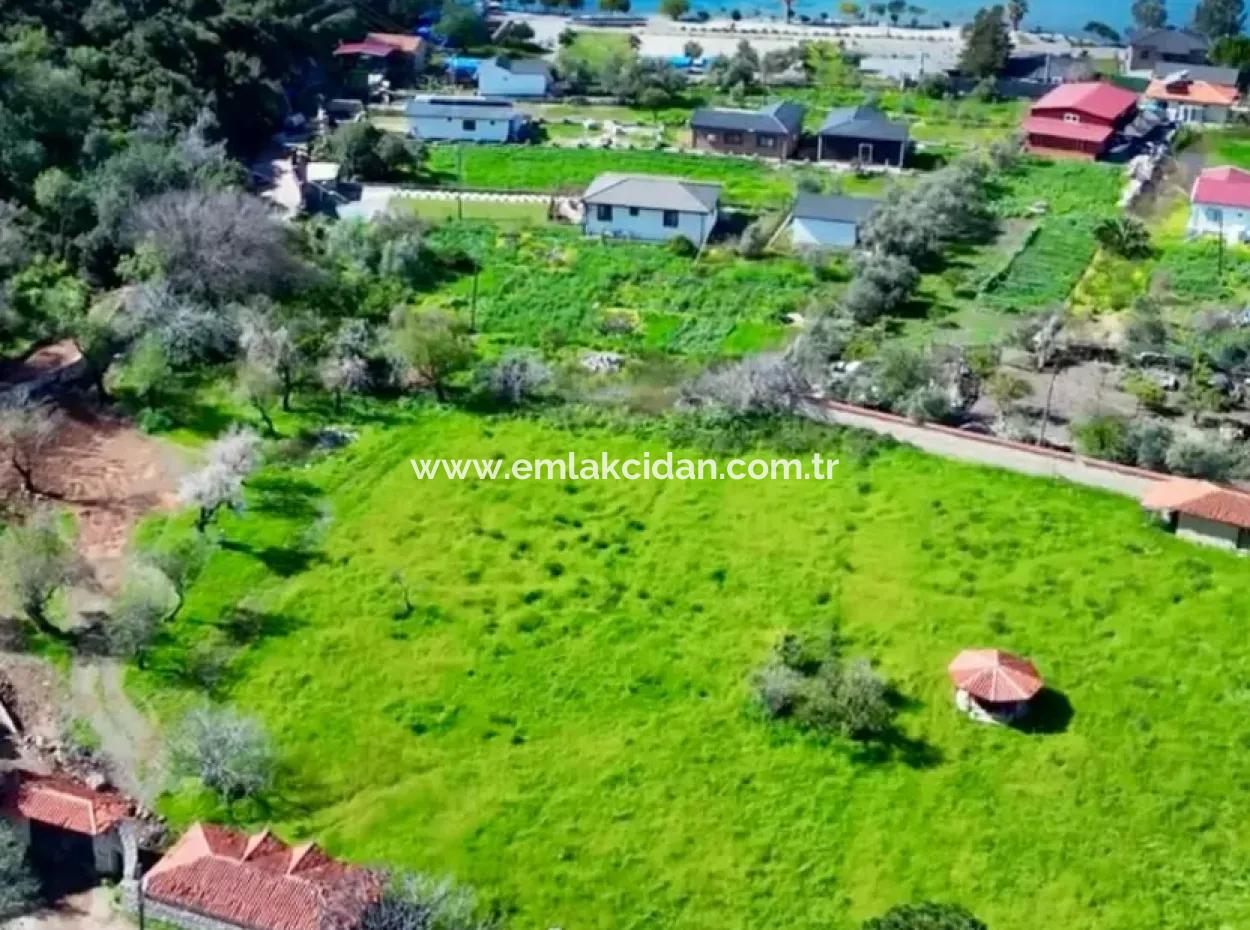 Land For Sale In Söğüt Village Of Marmaris District, 150 Meters To The Sea, 10000M2. It Can Be Used As A Camping Caravan Camping Area In The Tourism Area.