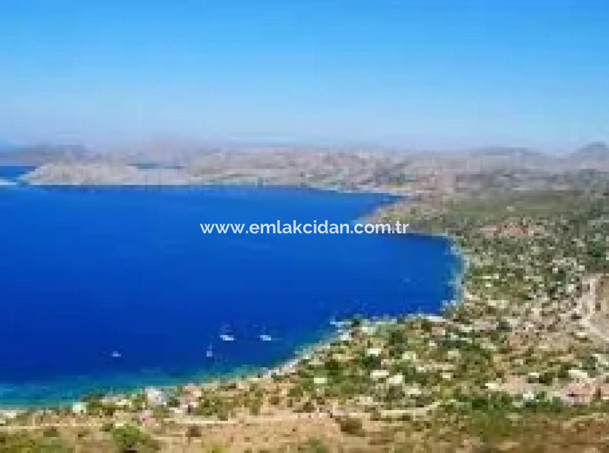 1600 M2 Bay By The Sea In Söğüt Neighborhood Of Marmaris District From Real Estate Agent