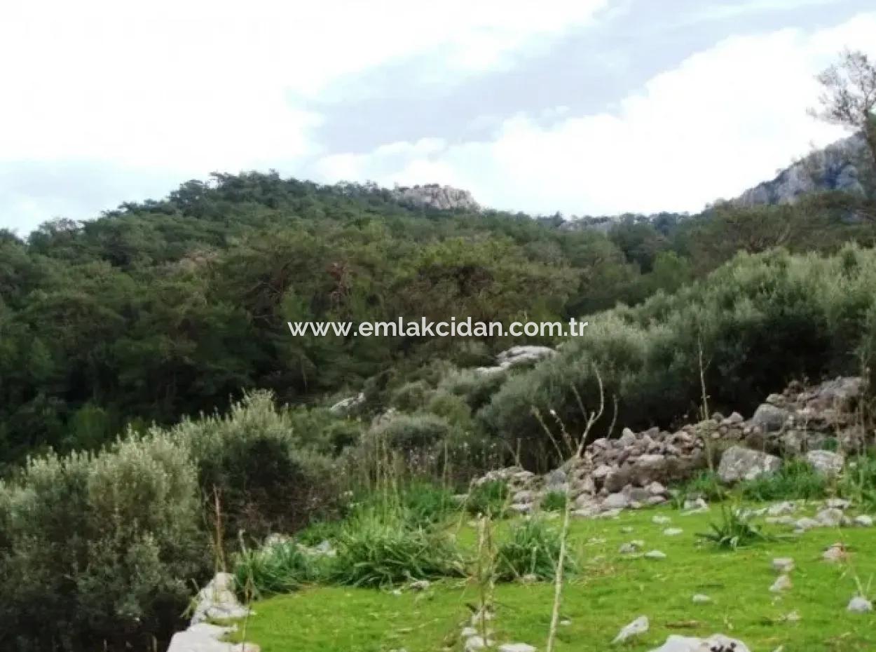 Appropriate Investment In The Area Of Marmaris 5 Star Hotel Land For Sale