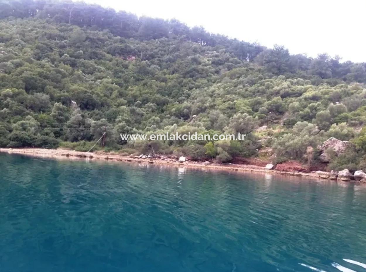 5500M2 Land For Sale Village House In The Centre Of Marmaris By The Sea Inside The Harbour