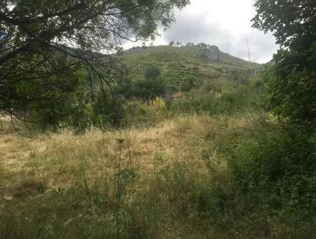 Akbuk, Mugla Province, County And Neighborhood Of The House In A Plot Of 3500 M2 In Zeytinkoy 2 Current Land Plot For Sale