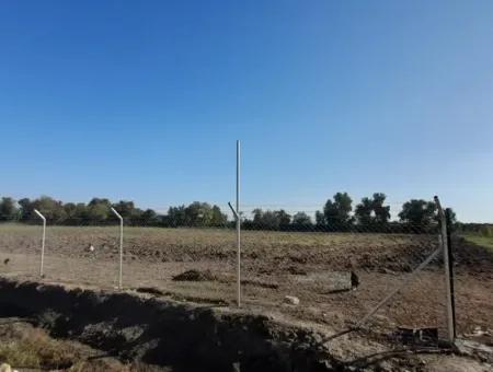 32000M2 Arable Avocados, Greenhouse Construction, Farms, Suitable For Livestock Land In Köyceğinz Döğüşbelen