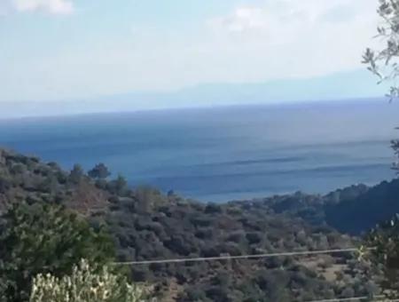 Land For Sale With Sea View With 52000M2 Parcel In Mugla Province Datca District Masoudye Neighborhood