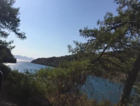 Land For Sale Suitable For Bungalow Hotel In 7500M2 Plot In Bördübet Bay