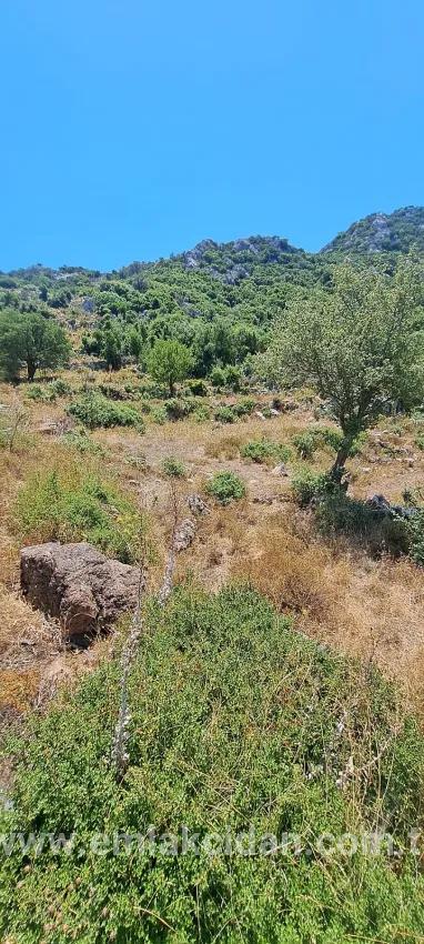 Marmaris Selimiye köyünde yatırım İçin uygun 773 m2 satılık tarla