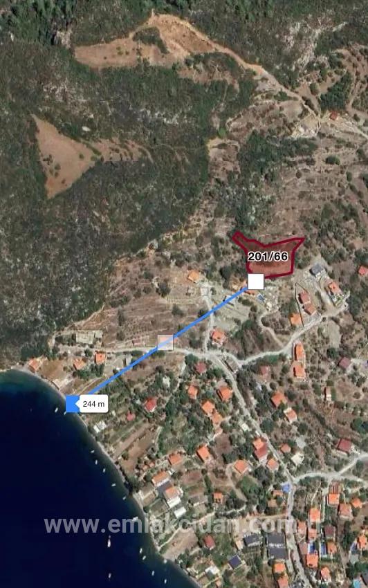 Söğüt köyünde Simi adası ve deniz manzaralı ekolojik turizm İmarlı 2100 m2 tarla