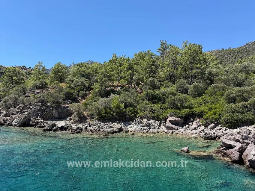 Marmaris Turunç koyunda denize sıfır 4700 m2 kontrollü kullanım alanı