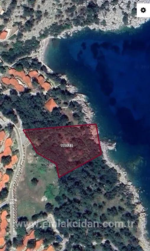 Marmaris Turunç koyunda denize sıfır 4700 m2 kontrollü kullanım alanı