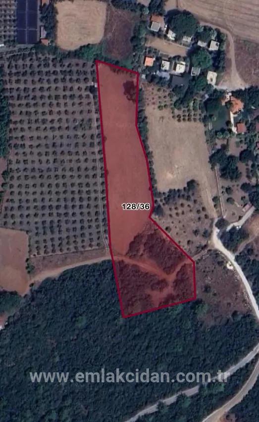 Marmaris Çamlı köyümde denize Çok yakın 7000m2 yatırım İçin uygun arsa