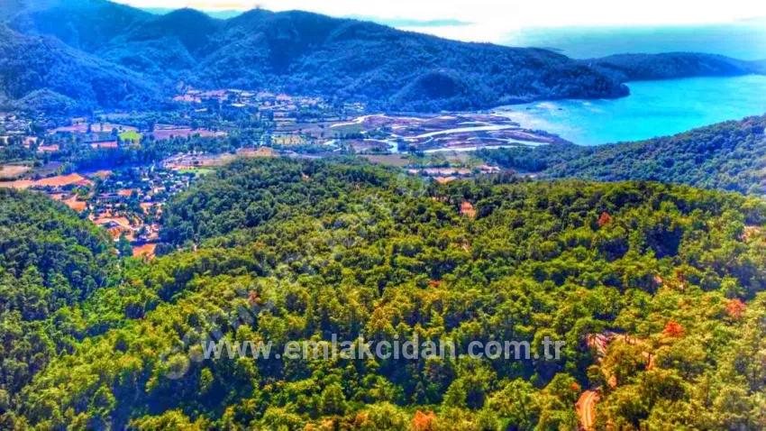 Marmaris Çetibelinde orman İçerisinde 13.500 m2 Özel kullanım alanı