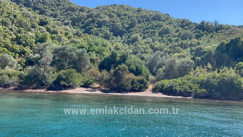 Marmaris cennet adasında satılık 2000 m2 köy