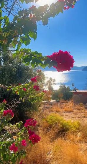 Marmaris Söğüt köyünde muhteşem Symi manzaralı Özel malikane