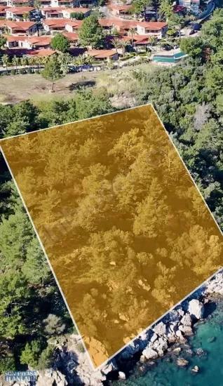 Marmaris Turunç koyunda denize sıfır 4700 m2 kontrollü kullanım alanı