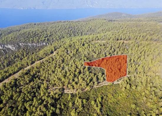 Marmaris Çetibelinde orman İçerisinde 13.500 m2 Özel kullanım alanı