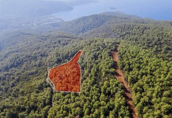 Marmaris Çetibelinde orman İçerisinde 13.500 m2 Özel kullanım alanı
