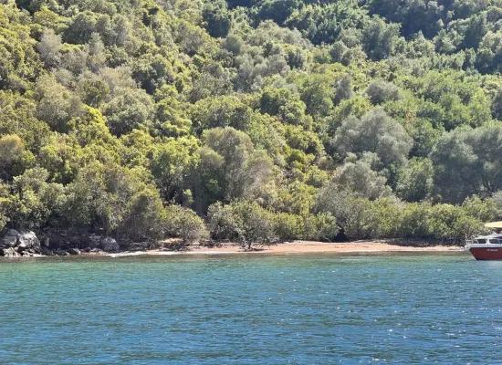 Marmaris cennet adasında satılık 2000 m2 köy