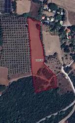 Marmaris Çamlı Mah. Satılık Tarla - Tarla İmar Durumlu - 7.000 m²