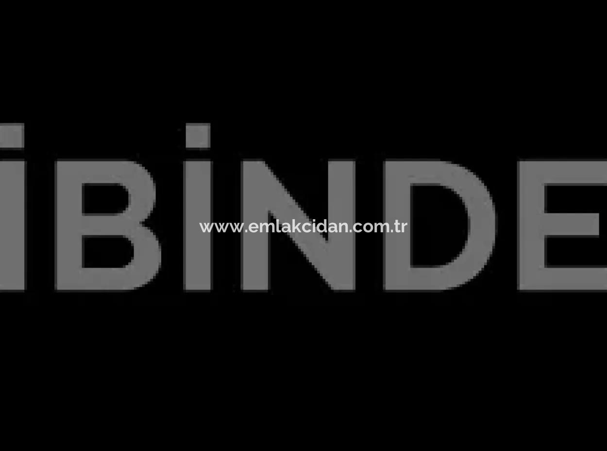 Muğla Bölgesinde 880000M2 Satılık Ceviz Bahçesi