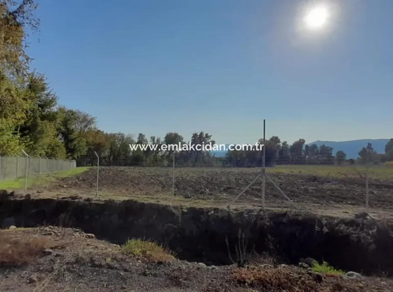 Köyceğiz Döğüşbelen Mevkisinde 32000M2 Tarıma Elverişli Avokado,Sera Yapımı,Çiftlik,Hayvancılık İçin Uygun Satılık Arsa