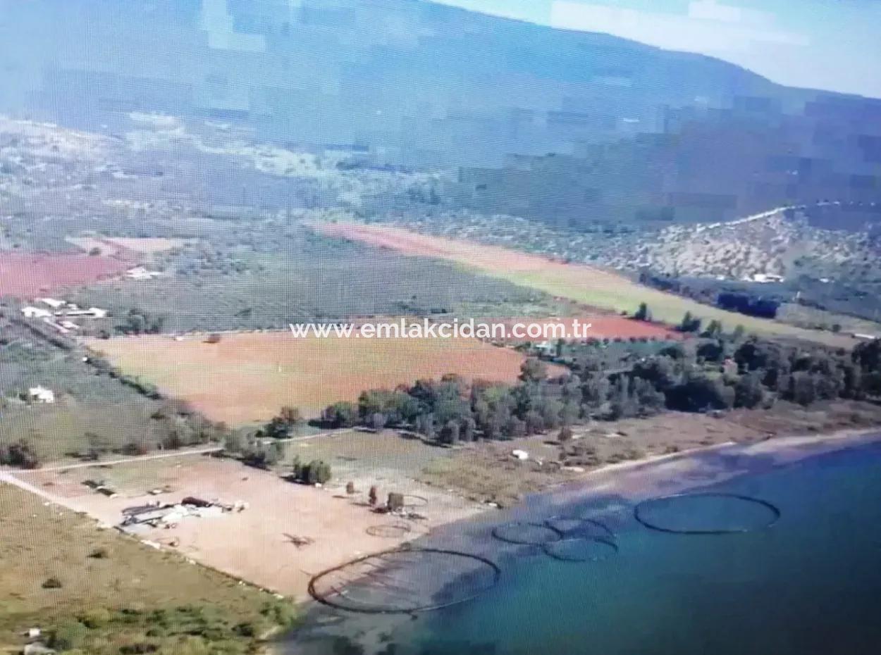 Milas Kıyıkışlacık Mevkisinde Denize Sıfır 712000M2 Turizm Ve Konut İmarlı Büyük Projelere Uygun Satılık Arsa