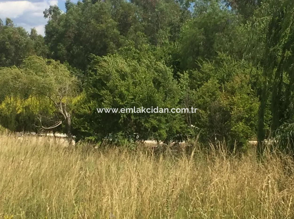 Muğla Gökova Körfezinde 26000M2Arsa Üzerine Kurulu Muhteşem Satılık Çiftlik