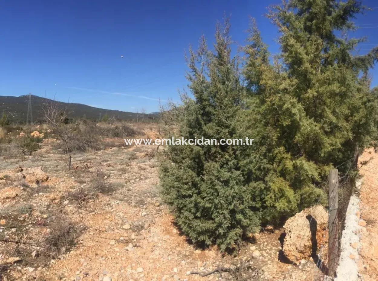 Muğla Merkezinde 200000M2 Badem Bahçesi Satılıktır.