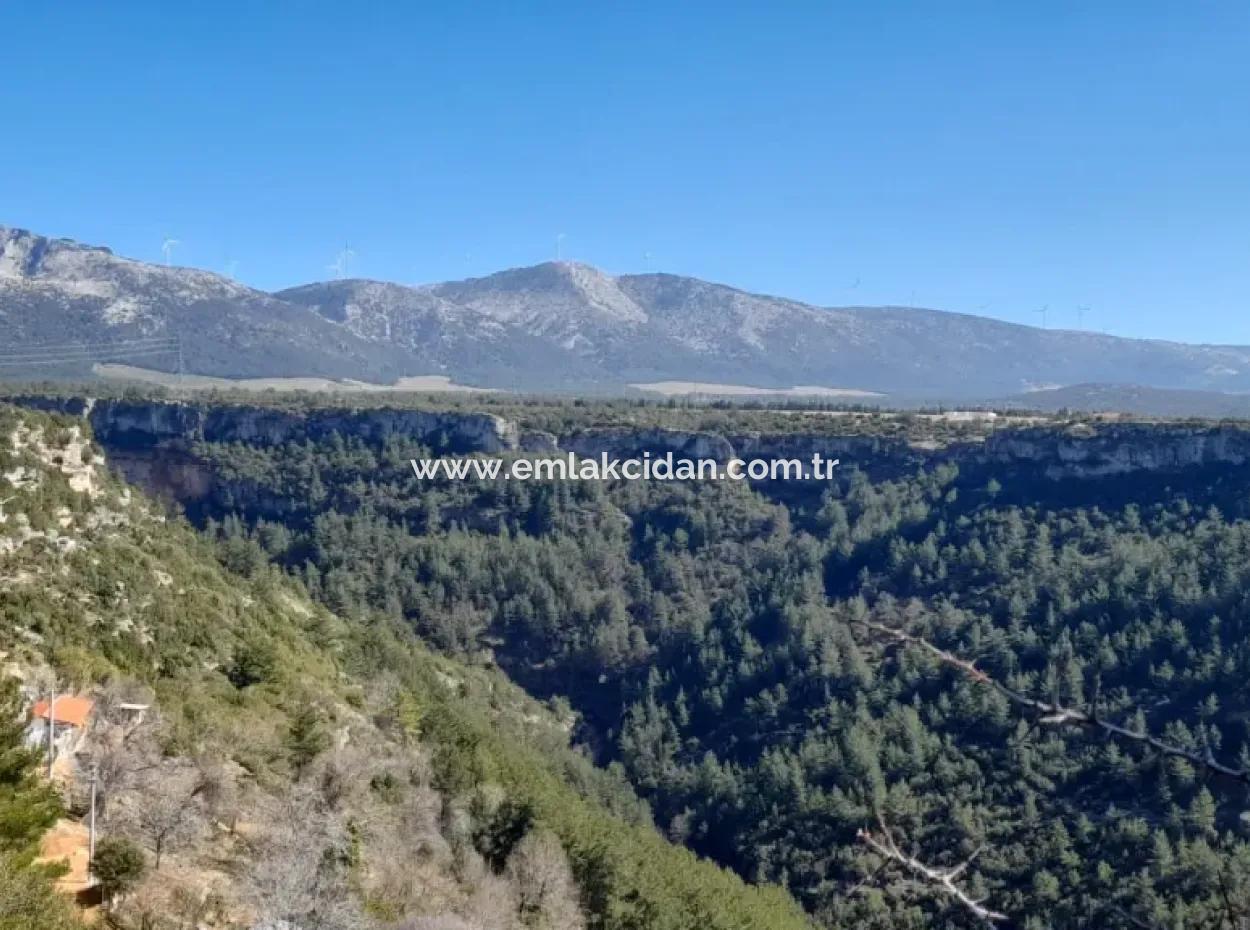 Muğla Merkezinde 200000M2 Badem Bahçesi Satılıktır.