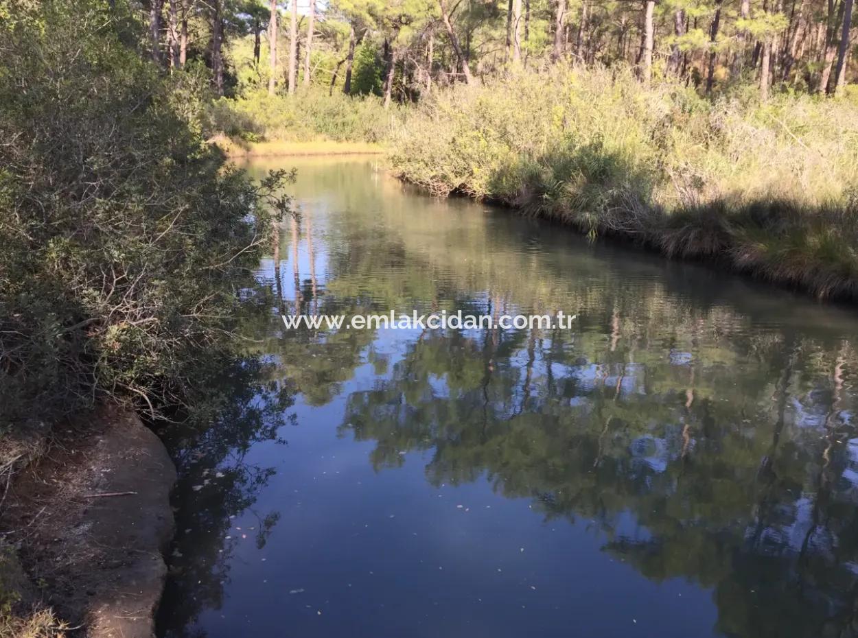 Bördübet Koyunda 7500M2 Arsa İçerisinde Bungalow Otel İçin Uygun Satılık Arsa